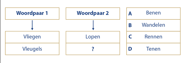 Politietest-Woordrelaties-Voorbeeld-Vraag